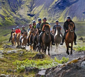 Paardrijtocht met Gullfoss, Geysir en Þingvellir